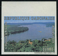 Neuf Sans Charnière 100F L' Ogooue ND + épreuve De Luxe Dernier Timbre De L'année 89 Non émis. Michel A1052 - Autres & Non Classés