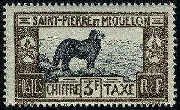 Neuf Sans Charnière N° 21/31, La Série Chiens De Terre Neuve Complète TB - Autres & Non Classés