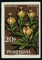 Neuf Sans Charnière N° 1047, Lubrapex 1968, 20$ Muschia Aurea, ND, T.B. - Otros & Sin Clasificación