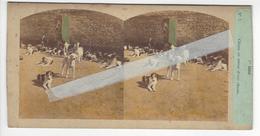 CHASSE A COURRE Circa 1855 PHOTO STEREO FURNE ET TOURNIER /FREE SHIPPING REGISTERED - Stereoscopic