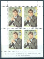 BUMBUNGA -  MLH/* - 1981 -  PRINCE ANDREW MINISHEET CINDERELLA -  Lot 17716 - Cinderella