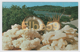 St. Lucia (Antilles) Coconut Candy And Sugar Cakes, A Speciality, Unused - St. Lucia