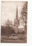Angleterre - Norwich - Cathédrale From Cloister Garden -  Achat Immédiate - Norwich