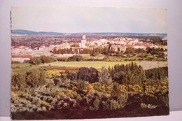 EYGUIERES   -  Vue Panoramique   -  ( Pas De Reflet Sur L'original ) - Eyguieres