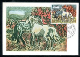 France - Carte Maximum 1978 - Oeuvre De Brayer - 1970-1979