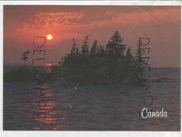 Coucher De Soleil Canadien. Ile Sur Un Lac. - Moderne Ansichtskarten
