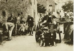 LE MARCHAND DE MOULES (reproduction) - Collect. "Normandie 1900 - Folklore Et Traditions" - Les Editions Du Mouflon N°18 - Artisanat
