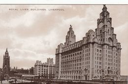 Cp , ANGLETERRE , LIVERPOOL , Royal Liver Buildings - Liverpool