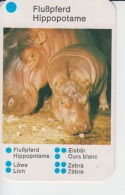 Hippopotamus Small Size Card, With Life Scenes Scenes And Animals Size 90/58 Mm - Nijlpaarden