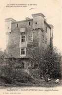 HERREBOUC ) Château Gascon Du XIII Siècle  Fermière Avec Chiens  Circulée 1906  -photo Tapie - Autres Communes