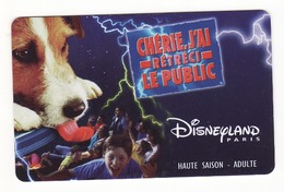 Disney 1 - Pasaportes Disney