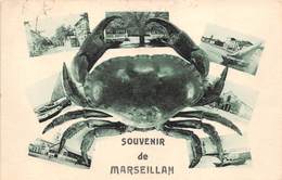 34-MARSEILLAN-SOUVENIR DE MARSEILLAN - Marseillan
