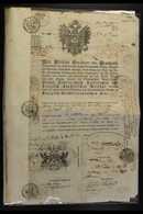 1843 PASSPORT Fabulous Illustrated Passport Printed In German And Issued In London By The Austrian Ambassador, Philip Ba - Other & Unclassified