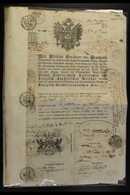 1843 PASSPORT Fabulous Illustrated Passport Printed In German And Issued In London By The Austrian Ambassador, Philip Ba - Autres & Non Classés