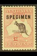 1915-27 £2 Black And Rose Kangaroo With "SPECIMEN" Overprint, SG 45s, Very Fine Mint. For More Images, Please Visit Http - Other & Unclassified