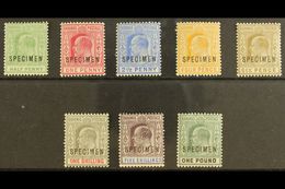 1902-06 Ed VII Set To £1 Plus 1906 ½d Green, Overprinted "Specimen", SG 62s-70s, 71s, Very Fine And Fresh Mint. (8 Stamp - Sonstige & Ohne Zuordnung