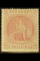 1873 5s Dull Rose, SG 64, Mint, Regummed (with Certificate), Fine & Fresh For This Issue For More Images, Please Visit H - Barbados (...-1966)