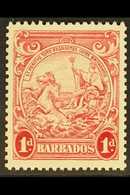 1939 1d Scarlet Perf. 13½ X 13, SG 249, Superb Never Hinged Mint, Scarce. For More Images, Please Visit Http://www.sanda - Barbades (...-1966)