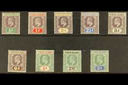 1904 KEVII Complete Set, SG 54/62, Fine Fresh Mint. (9 Stamps) For More Images, Please Visit Http://www.sandafayre.com/i - British Virgin Islands