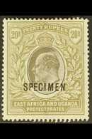 1903 20r. Grey And Stone, Overprinted "SPECIMEN", SG 15s, Fine Mint. For More Images, Please Visit Http://www.sandafayre - Vide