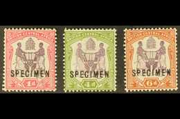 1901 1d, 4d & 6d Issue Complete Opt'd "SPECIMEN", SG 57ds/8s, Mint Part OG, The 1d With Small Surface Fault But Fresh An - Nyasaland (1907-1953)