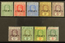 1904 Ed VII Set Wmk MCA Ovptd "Specimen", SG 65s/77s, Very Fine Mint. 5s Green And Carmine (SG 76s) Defective Top Right  - Ste Lucie (...-1978)