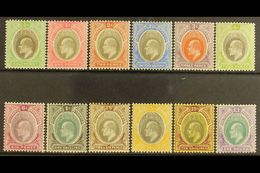 1904-09 KEVII Definitive Set, SG 21/32ab, Some Light Tone To Some Low Values, 10s & £1 Very Fine Mint (12 Stamps) For Mo - Nigeria (...-1960)