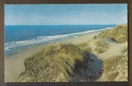 NL.- Schoorl. Groeten Uit Schoorl. 1960. Zee Strand En Duinen. - Kruger 901/10 - Schoorl