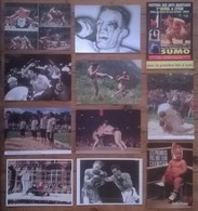 Lot De 11 Cartes Postales LUTTE BOXE SUMO - Worstelen