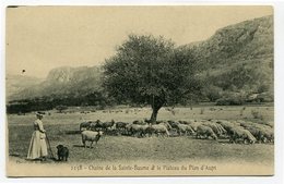 CPA - Carte Postale - France - Chaine De La Sainte Baume Et Le Plateau Du Plan D'Aups ( CP4651 ) - Saint-Zacharie