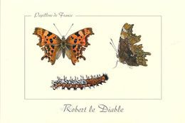 *   Papillons De France - Robert Le Diable - Mariposas