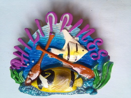 Fish - Tourisme