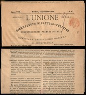 20661 REGNO D'ITALIA - VITTORIO EMANUELE II - Periodici Franchi C1 (in Rosso) - Intero Opuscolo Da Torino Del 11.1.77 - Sonstige & Ohne Zuordnung