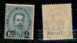 20729 REGNO D'ITALIA - UMBERTO I - 1891 – 2 Cent Su 5 (56) – Gomma Integra (35) - Autres & Non Classés