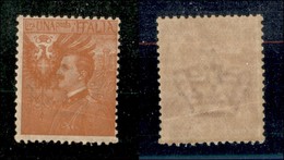 20800 REGNO D'ITALIA - VITTORIO EMANUELE III - 1905 – Saggi Michetti – 1 Lira Arancio (Unificato 79Ne) – Gomma Integra – - Autres & Non Classés