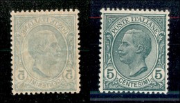20822 REGNO D'ITALIA - VITTORIO EMANUELE III - 1906 - 5 Cent Leoni (81s) Con Decalco - Gomma Integra (27) - Andere & Zonder Classificatie