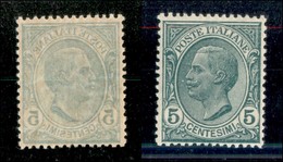 20822 REGNO D'ITALIA - VITTORIO EMANUELE III - 1906 - 5 Cent Leoni (81s) Con Decalco - Gomma Integra (27) - Autres & Non Classés