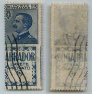 21249 REGNO D'ITALIA - PUBBLICITARI - 1924 - 25 Cent Abrador (4da - Pubblicitari) – Annullato - Autres & Non Classés
