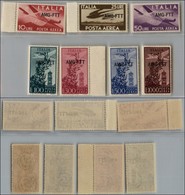 21679 TRIESTE - AMGFTT - 1949/1952 - Posta Aerea (20/26) - Serie Completa - Gomma Integra (180) - Autres & Non Classés