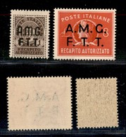 21698 TRIESTE - AMGFTT - 1947 - Recapito (1/2) - Serie Completa - Gomma Integra (18) - Andere & Zonder Classificatie