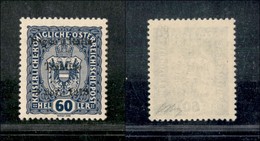 21953 OCCUPAZIONI - TRENTINO - ALTO ADIGE - 1918 - 60 Heller Cobalto Scuro (12) Gomma Integra - Oliva (240) - Autres & Non Classés