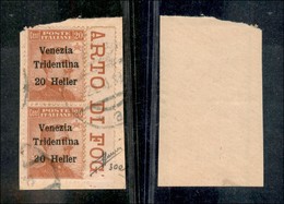21975 OCCUPAZIONI - TRENTINO - ALTO ADIGE - 1918 - Coppia Verticale Del 20 Heller Su 20 Cent Michetti (30+30e) - 2 Stamp - Autres & Non Classés