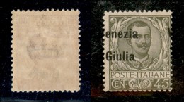 21992 OCCUPAZIONI - VENEZIA GIULIA - 1918 - 45 Cent (26ead) Con Soprastampa Spostata (V A Destra) - Gomma Integra Bruna  - Andere & Zonder Classificatie