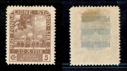 22054 OCCUPAZIONI - FIUME - 1919 – 5 Corone (72) Nuovo Con Gomma (100) - Andere & Zonder Classificatie