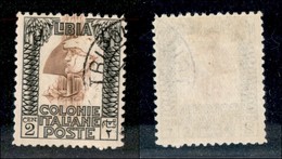 23156 COLONIE ITALIANE - LIBIA - 1930 - 2 Cent Pittorica (59) - Usato - Autres & Non Classés