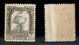 23157 COLONIE ITALIANE - LIBIA - 1929 - 5 Cent Pittorica (60) - Gomma Integra - Falla Naturale Verticale (250) - Andere & Zonder Classificatie