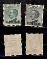 23236 COLONIE ITALIANE - OLTRE GIUBA - 1925 - Michetti Soprastampati (16/17) - Serie Completa Di 2 Valori - Gomma Integr - Autres & Non Classés