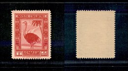 23337 COLONIE ITALIANE - SOMALIA - 1935/1938 - 5 Lire Pittorica 2° Emissione (227) - Gomma Integra - Autres & Non Classés