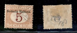 23341 COLONIE ITALIANE - SOMALIA - 1909 – 5 Cent (13 – Segnatasse) – (40) - Andere & Zonder Classificatie