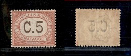 23784 SAN MARINO - SERVIZI - 1924 - 5 Cent Segnatasse (10) - Gomma Integra (25) - Andere & Zonder Classificatie